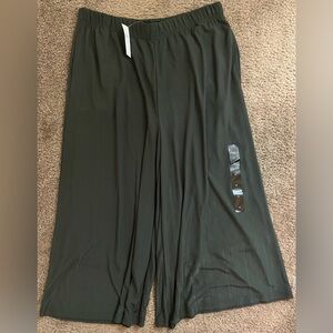Banana Republic Forest Green Pleated Pants NWT